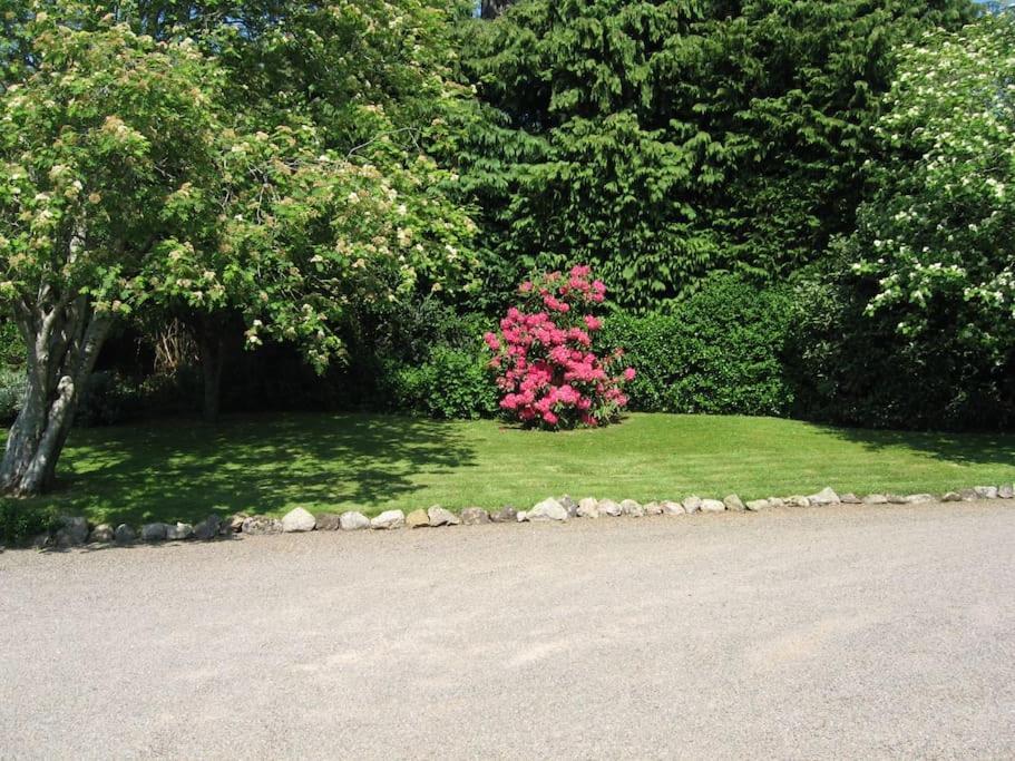 Self Catering Apartment At Beechwalk House. 恩尼斯凯里 外观 照片